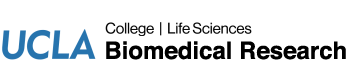 UCLA Biomedical Research Minor
