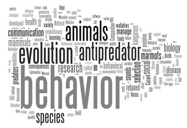 wordle