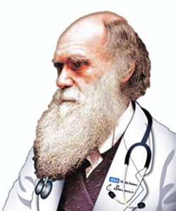 Dr Darwin