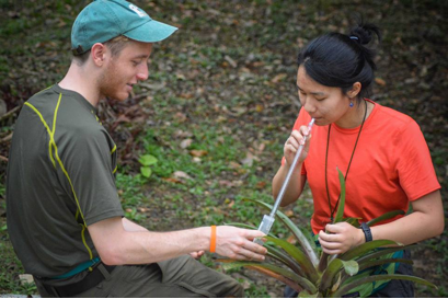 Joey and Michelle pipette water (and inverts!) out of a bromeliad 