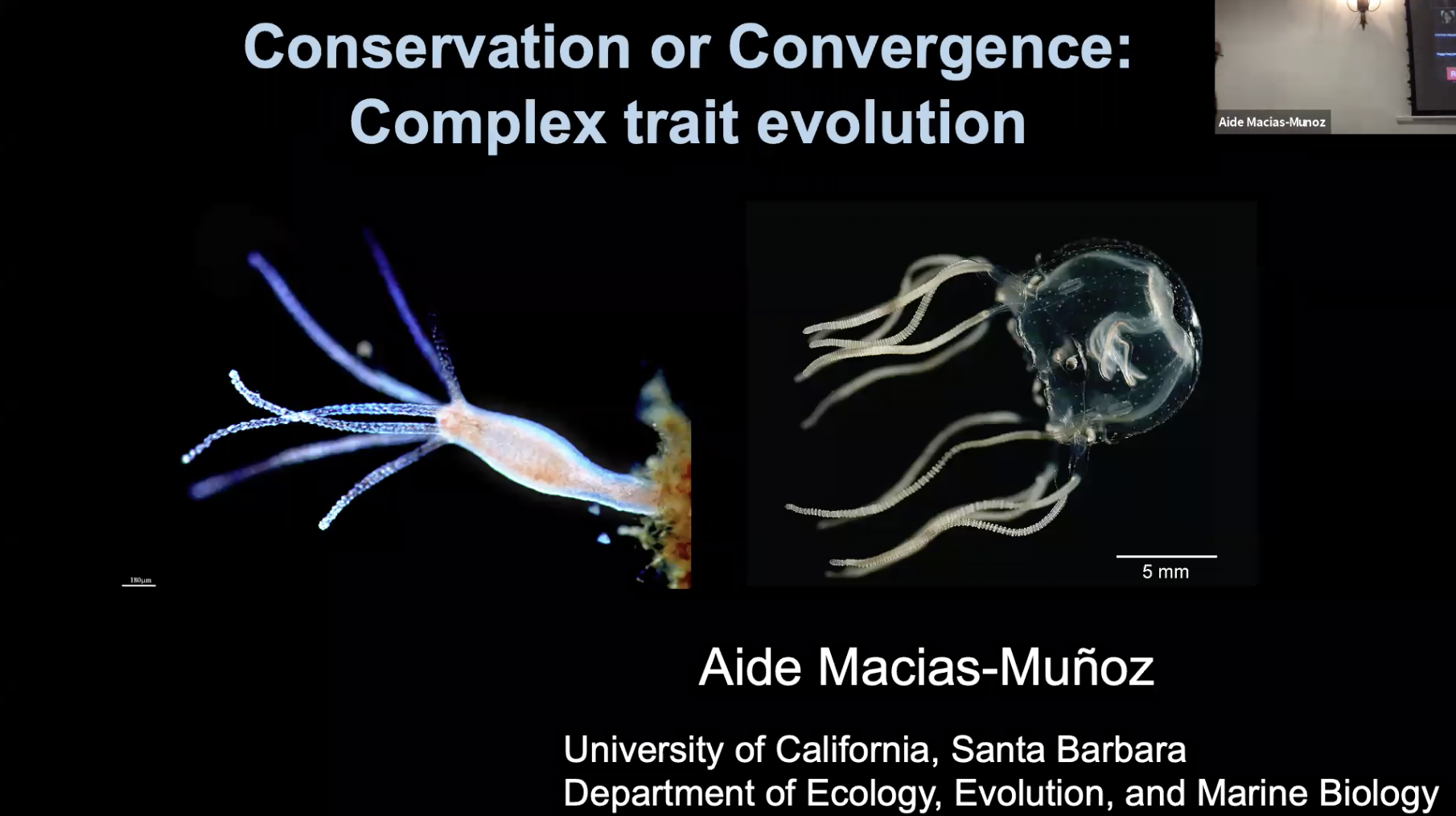 Conservation or Convergence: Complex trait evolution in Cnidaria