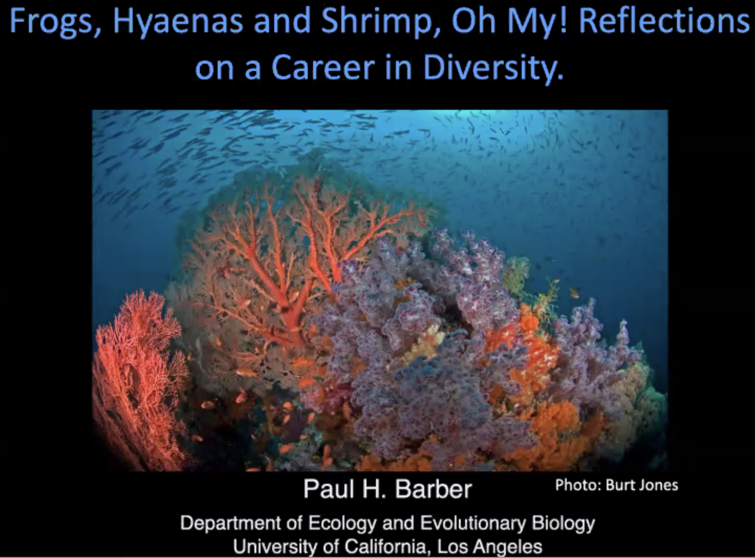Frogs, Hyaenas and Shrimp, Oh My!  Reflections on a Career in a Diversity