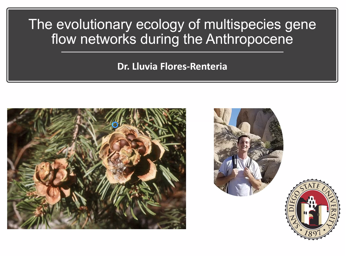 The Evolutionary Ecology of Multispecies Gene Flow Networks During the Anthropocene
