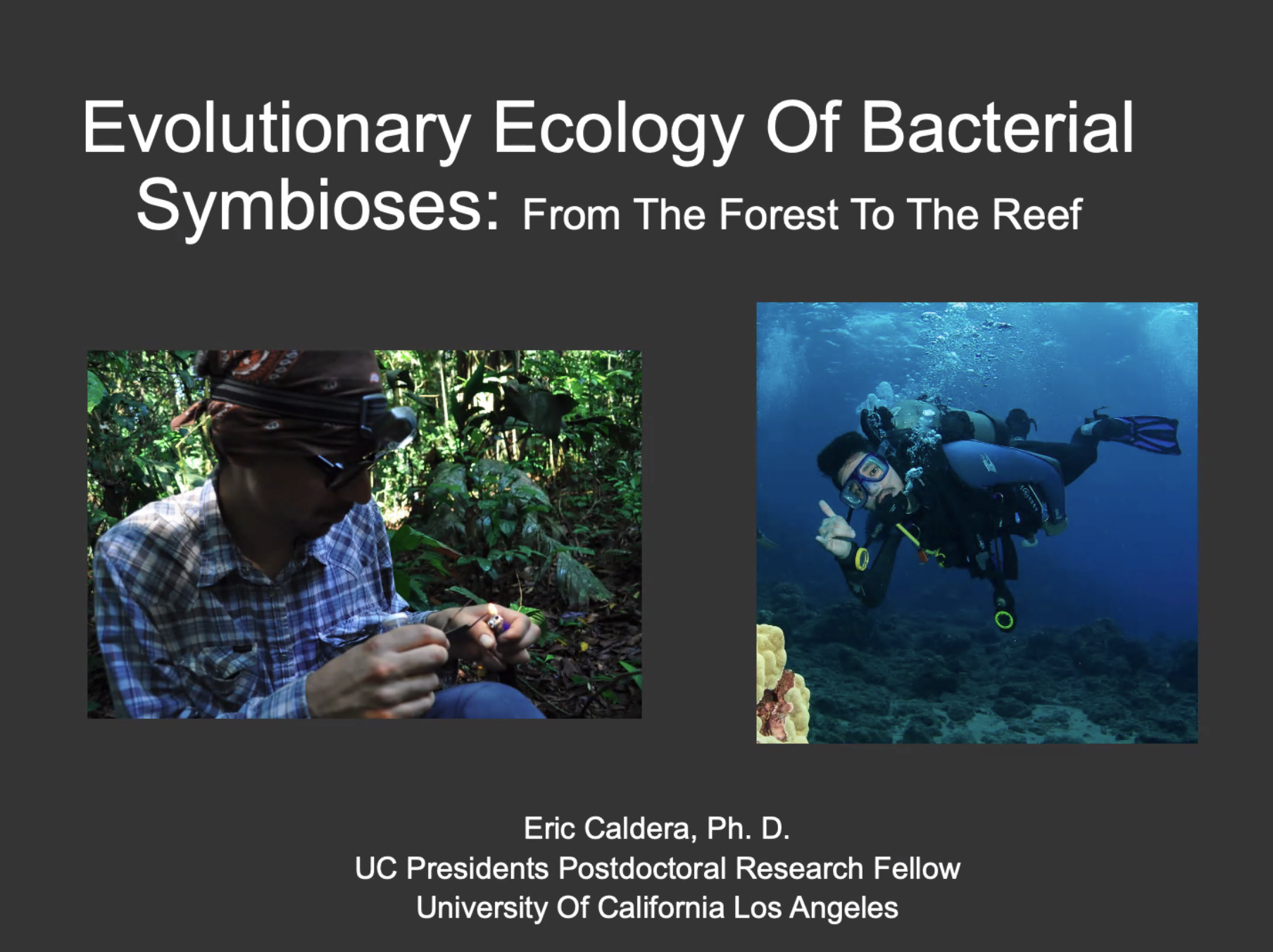 Bacterial Symbiosis: From the Forest to the Reef