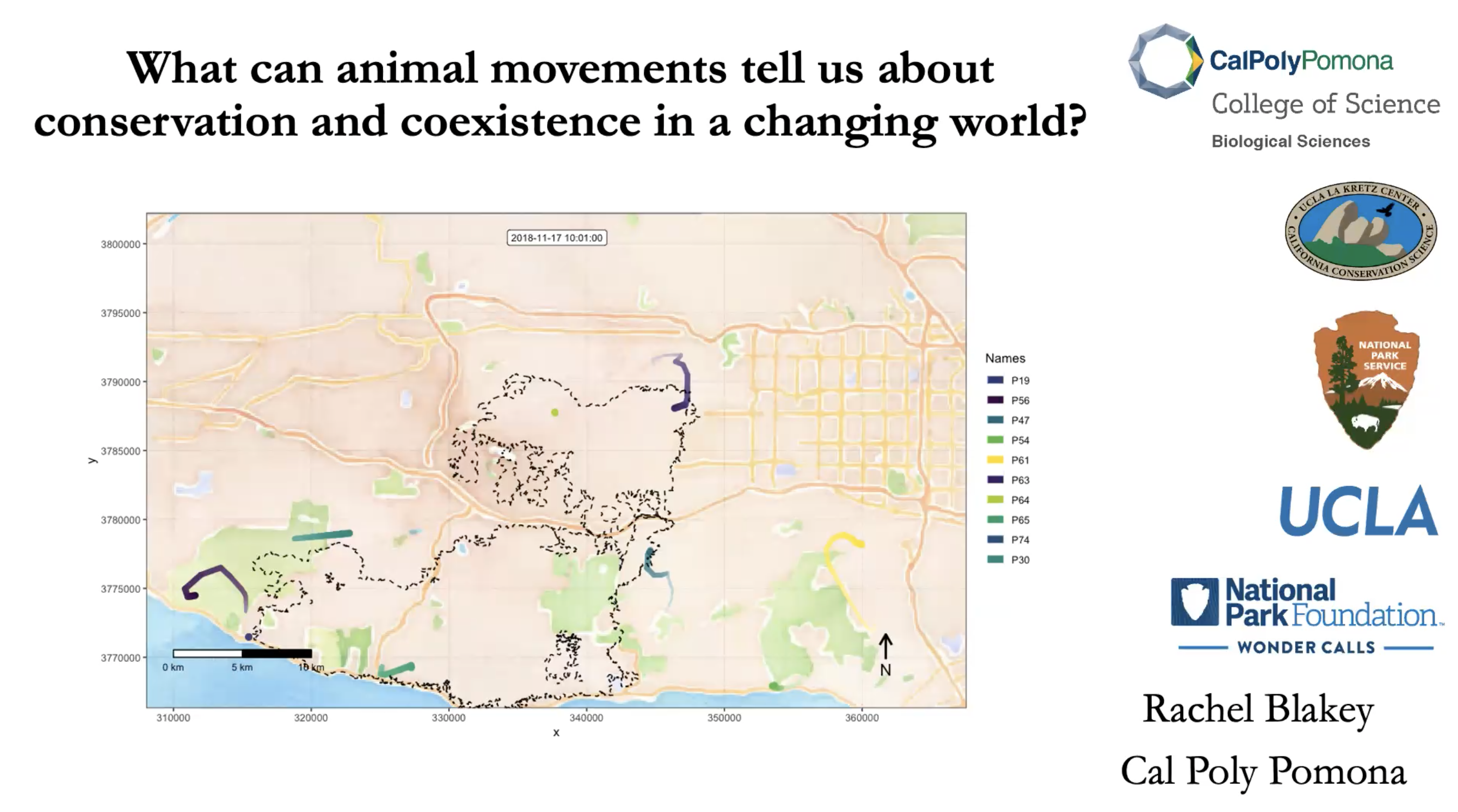 What Can Animal Movements Tell Us About Conservation and Coexistence in a Changing World?