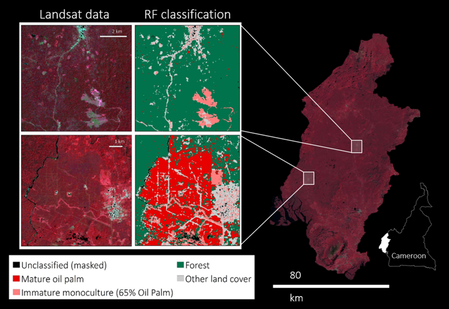 Random forest classification of Landsat data in SW Cameroon.