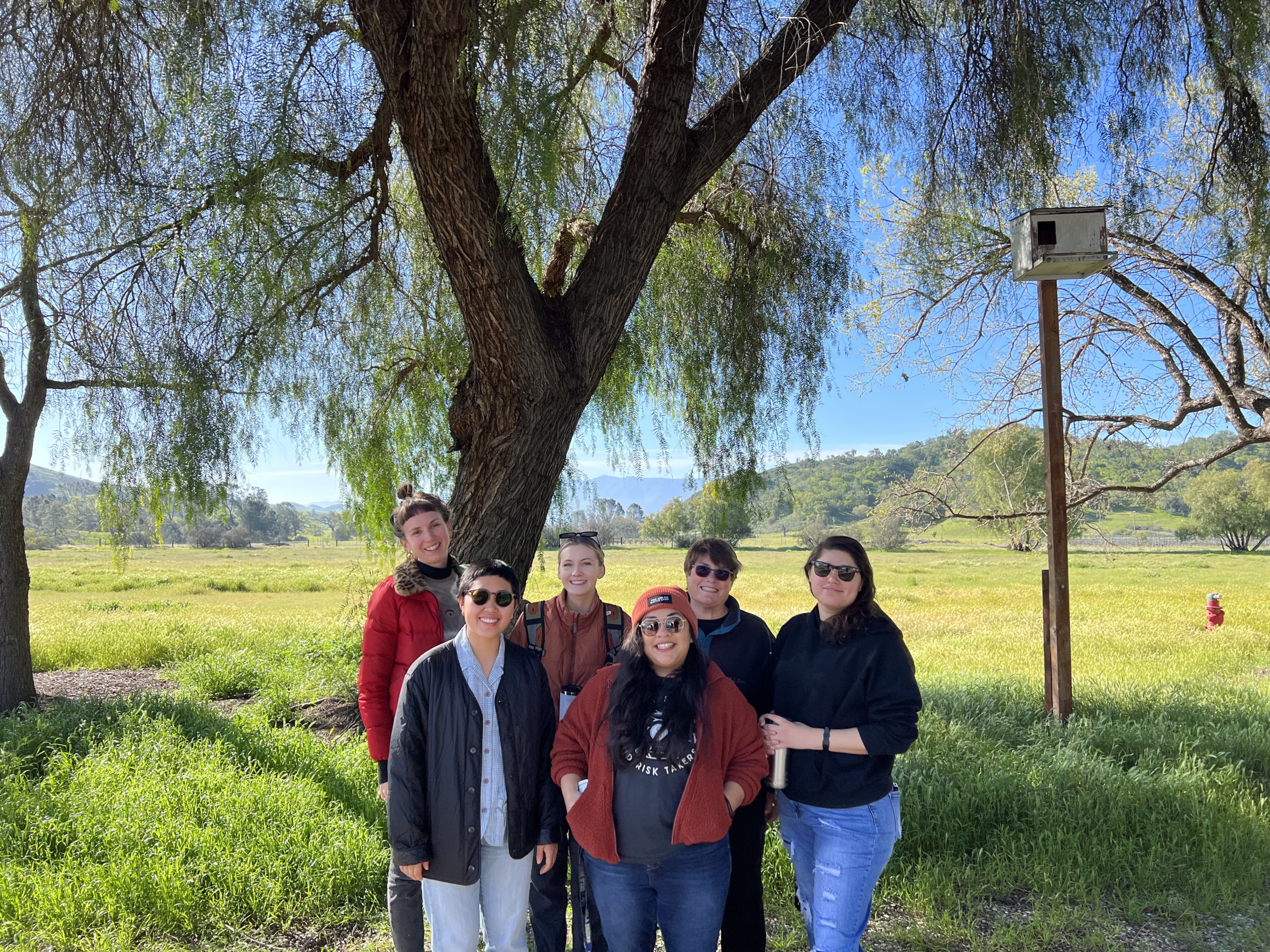 Sork lab group infront of a valley oak tree