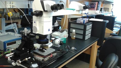 Lab bench with microscope
