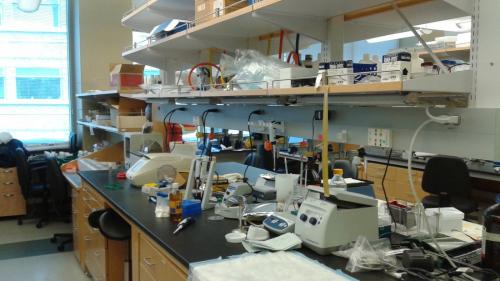 Typical lab workbench