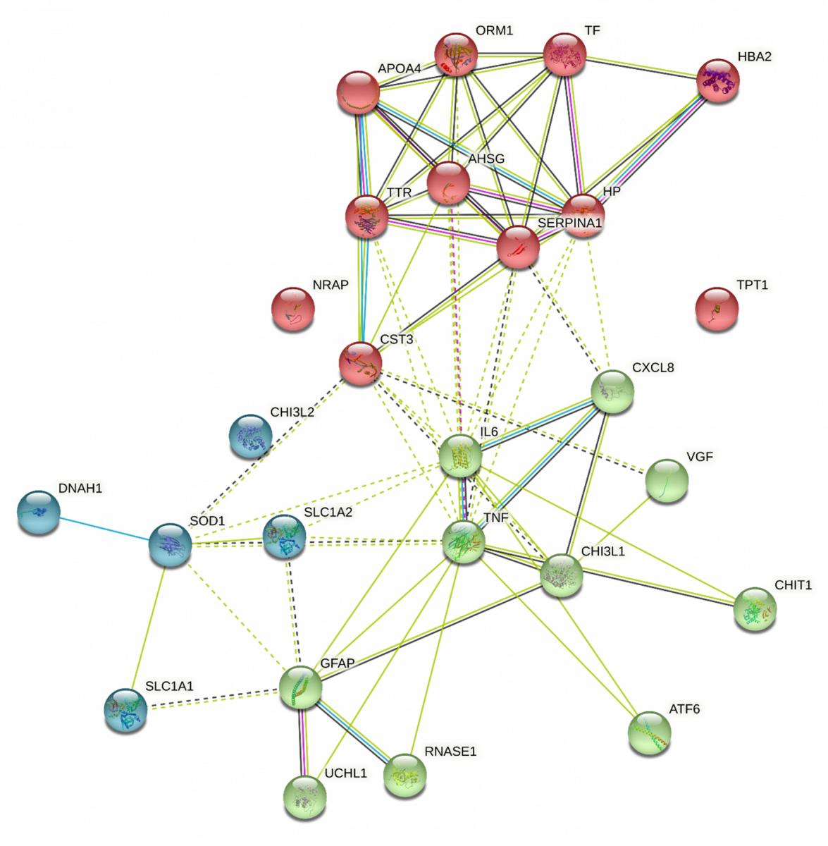 Molecular Networks