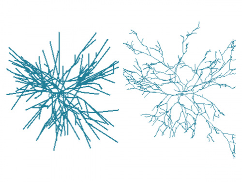 Spatiotemporal Complexity of Brain Cells