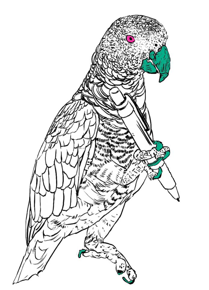 GreyParrot