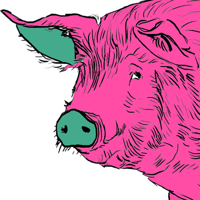 face_pig