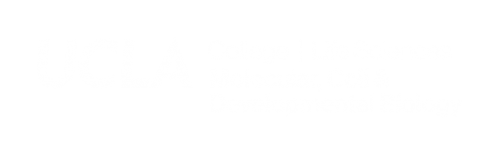 cell biology research proposal