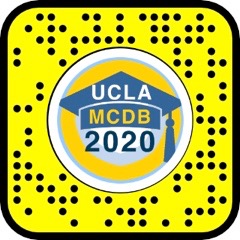 MCDB class of 2020 snap lens