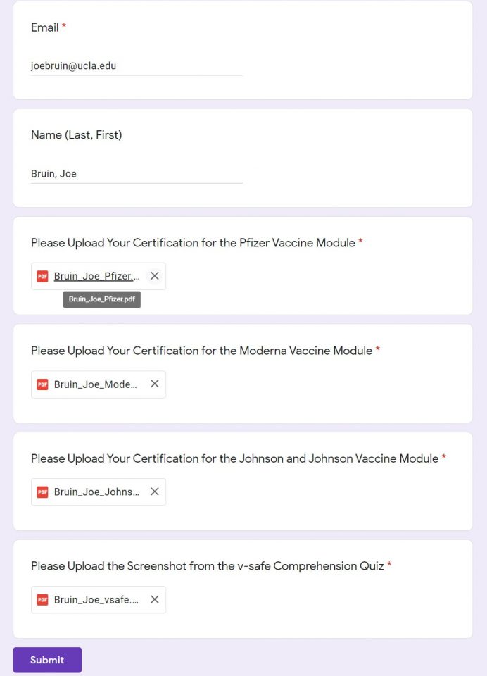 submission example